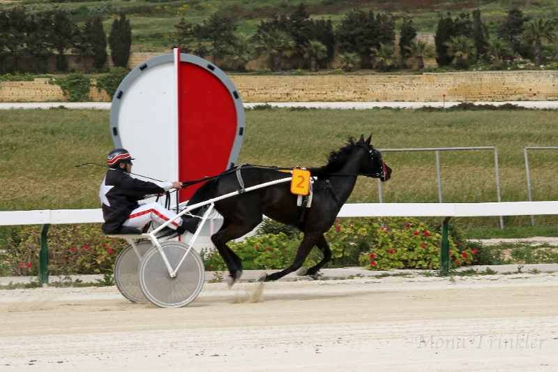 2015_Race 2 - 06.JPG